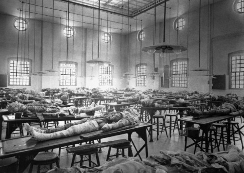 congenitaldisease:

A dissecting room in Jefferson Medical College, Philadelphia, 1902.
