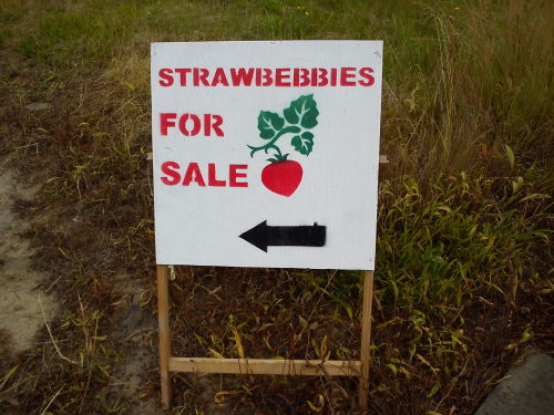 slimydad:


My all time favorite sign I’ve seen near my house

i cant live like this
