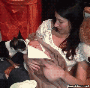 Dog Tucking baby Into Bed 
Video source