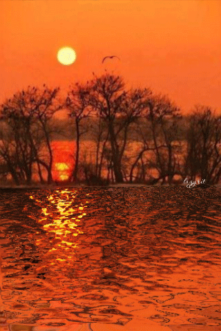 gyclli:

Багряный закат(crimson sunset)