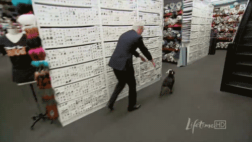 In case youre having a bad day heres Tim gunn running after swatch. 