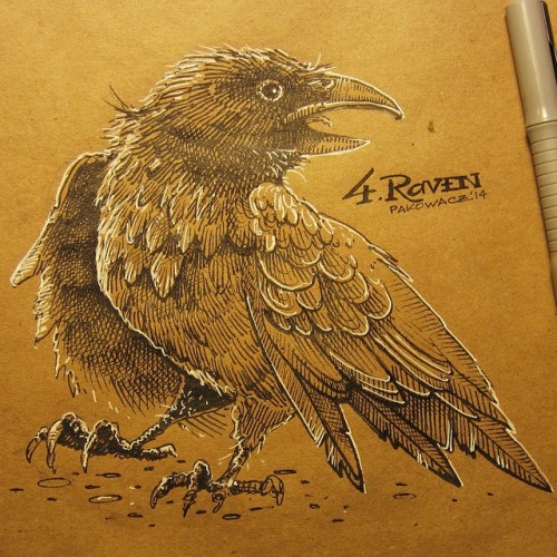 4th of #inktober and the Raven for #drawlloween