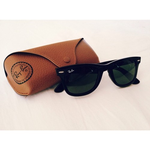 A new pair of pups have arrived. #rayban #sunnies #sun #summer...