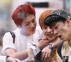 exo Luhan m: gif xiumin xiuhan *by fyxh lumin with: chen 130603 with: lay 