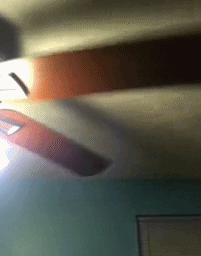 queenbroslob:

yeevil
your ceiling fan is gonna be off balance

dildos for all the blades!!