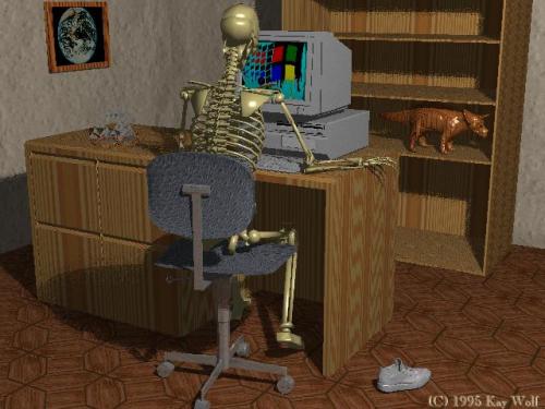 skeleton computer