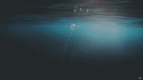 thosewhodreamt:  ↞☽❁☾↠