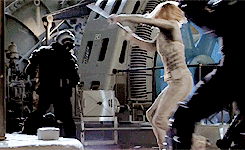 poetgirl925:

avocadomurdocks:

Sara Lance as White Canary in Legends of Tomorrow [x]

Damn. The way Caity Lotz can do most of her own fight sequences is freakishly impressive.

Honestly her and Stephen impress me to no end with what they&rsquo;ve taken on to become these heroes!