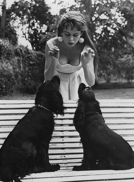 thepieshops:

Brigitte and The Dogs on Flickr.
Brigitte Bardot in Paris circa 1954.
