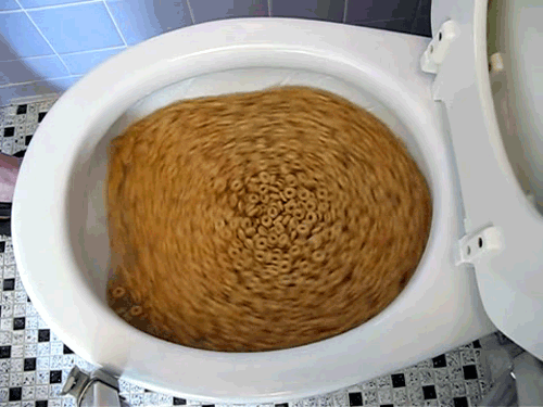 Image result for toilet flushing gifs
