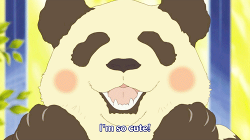 Panda-kun