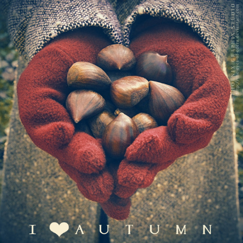 my-day-book:  … I love autumn … by ~phoenixgraphixstudio 