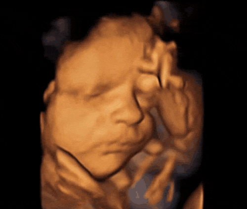 baby yawns in utero