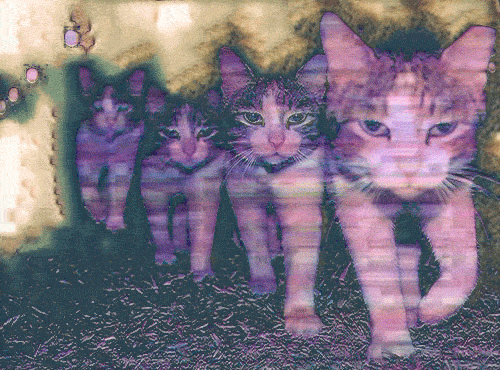 alice tumblr in cat wonderland drawings psychedelicgif  Tumblr