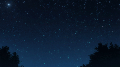 Bright Meteor/Fireball Lights Up Night Sky Over OH / PA / KY / GA / FL Tumblr_mvufz1yDPm1skrzgro1_500