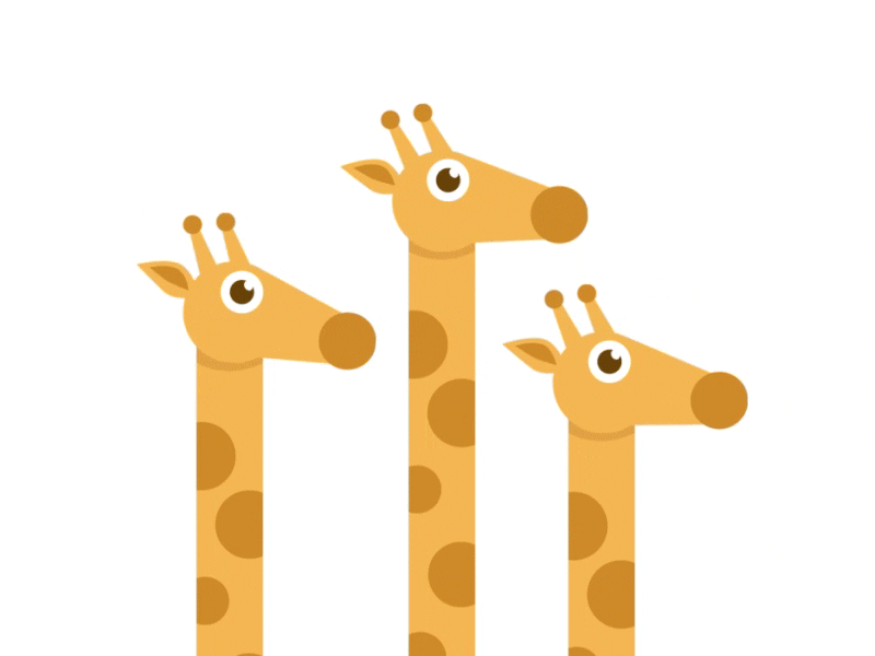 giraffes gifs | WiffleGif