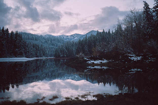 melepeta: untitled by Miles Bowers on Flickr.