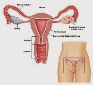 Cervical cancer stages sex porn pictures