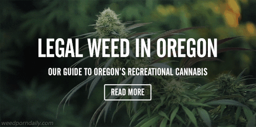 Our guide to Oregon's Recreational Cannabis