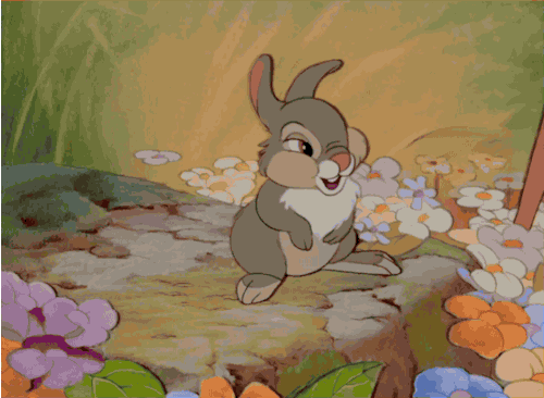 The Definitive Ranking of Thumper’s Cutest Moments | Oh My ...