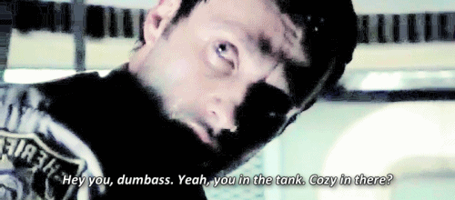 Image result for hey you dumbass in the tank gif