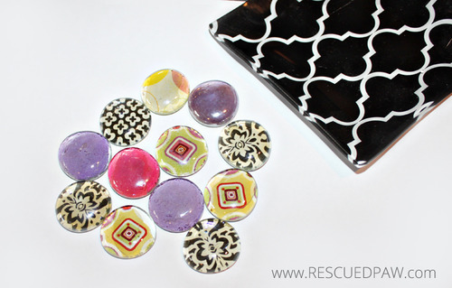 DIY Modge Podge Stones - Makes a Great Paper Weight and a fun craft to do with the kids! www.easycrochet.com