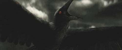 cuervos para aenys fuegoscuro— Tumblr_mnr3rcOnqR1snckw0o1_r1_500