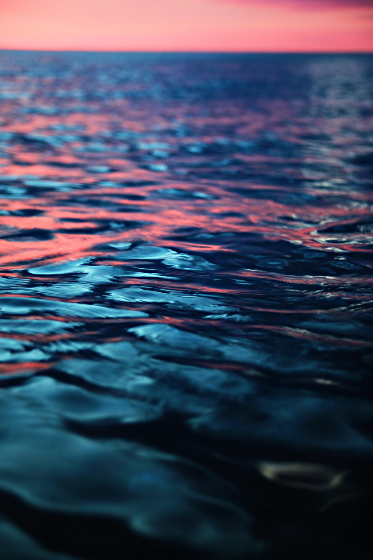 highenoughtoseethesea: Sunset, from the (43-degree) water. 