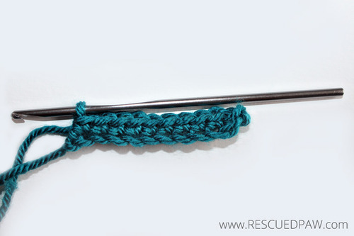 How to Crochet the Roll Stitch 