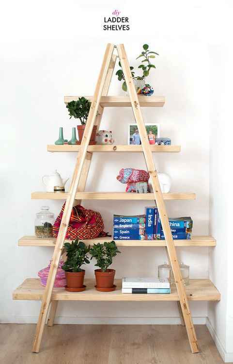 diy ladder shelf | Tumblr