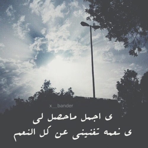 مقهى  ورد الشام.. - صفحة 31 Tumblr_n8hhdfRbnK1snvsw6o1_500