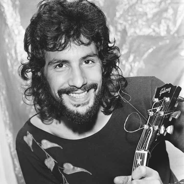 Cat Stevens | Lady Garfunkels Song of the Day