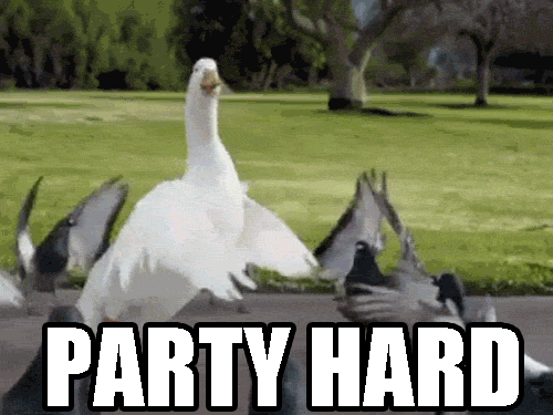 party hard fiesta gif | WiffleGif