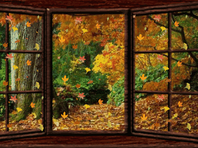 Autumn Leaves / Eva Cassidy에 대한 이미지 검색결과
