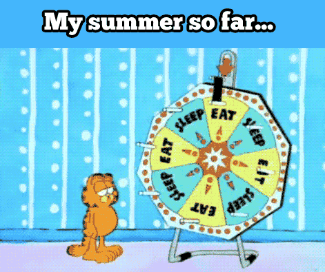 The Signs During Summer funny gifs summer humor leo cancer aries ...