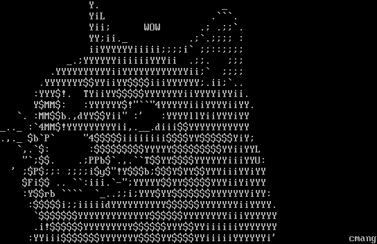 Ascii Pictures Wow 60