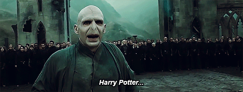 Voldemort is coming to town!  Harry potter memes hilarious, Harry potter, Harry  potter voldemort