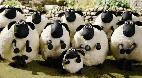 Afbeeldingsresultaten voor sheep animated gif