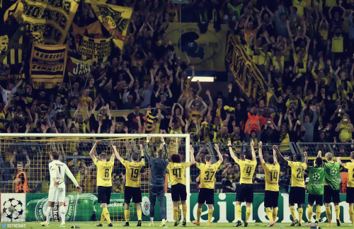 Borussia Dortmund - Page 16 Tumblr_nc1l56IelE1tjid03o2_500