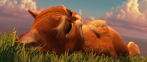 Puss In Boots ogen Gif Tumblr