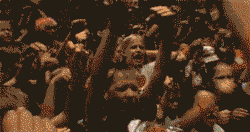 This Raptor Jesus rave GIF was made out of a scene from the 2006 documentary Jesus Camp. Click the image for a higher quality version.
Check out more rave GIFs at KYMdb - X Raves.